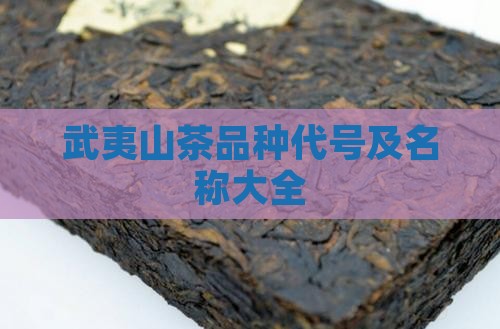武夷山茶品种代号及名称大全
