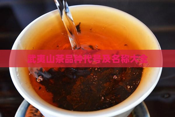 武夷山茶品种代号及名称大全