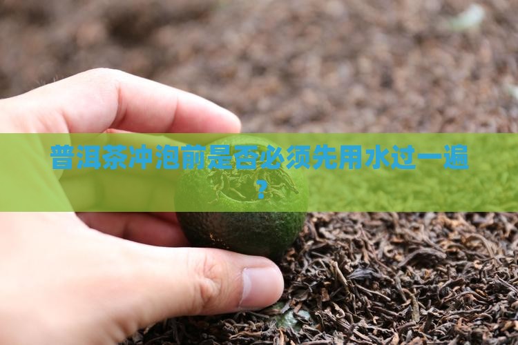 普洱茶冲泡前是否必须先用水过一遍？