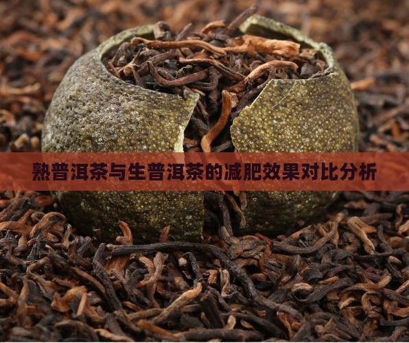 熟普洱茶与生普洱茶的减肥效果对比分析