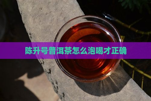陈升号普洱茶怎么泡喝才正确
