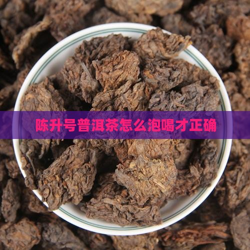 陈升号普洱茶怎么泡喝才正确