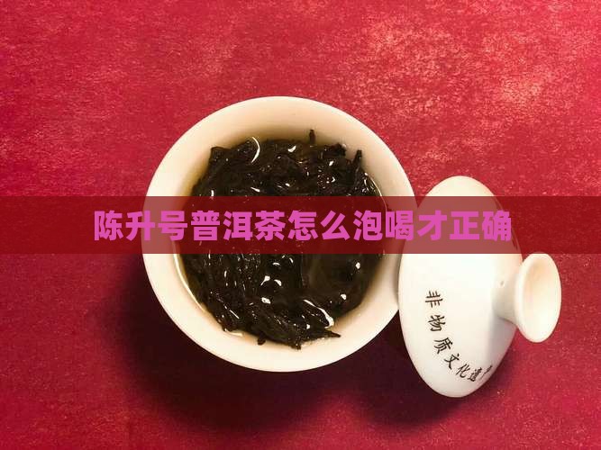 陈升号普洱茶怎么泡喝才正确