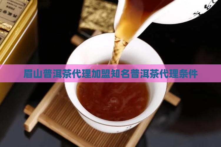 眉山普洱茶代理加盟知名普洱茶代理条件