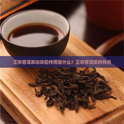 正宗普洱茶功效和作用是什么？正宗普洱茶的特点