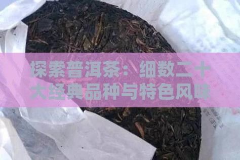 探索普洱茶：细数二十大经典品种与特色风味