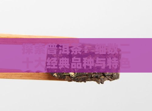 探索普洱茶：细数二十大经典品种与特色风味