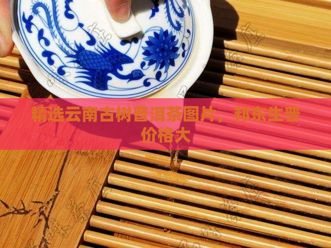 精选云南古树普洱茶图片，邦东生普价格大