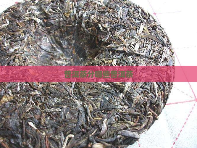 普洱茶分哪些普洱茶