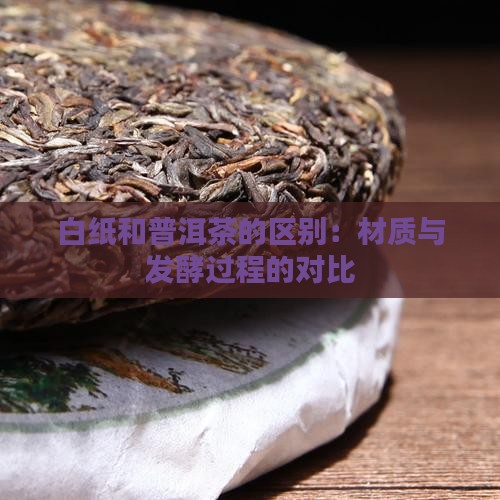 白纸和普洱茶的区别：材质与发酵过程的对比