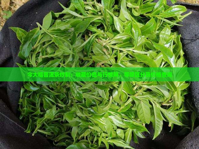 今大福普洱茶炒制：收藏价值与行情网，等级区分及价格查询