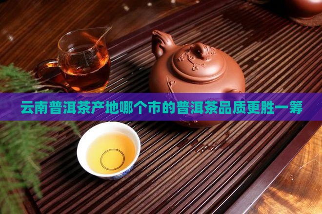 云南普洱茶产地哪个市的普洱茶品质更胜一筹