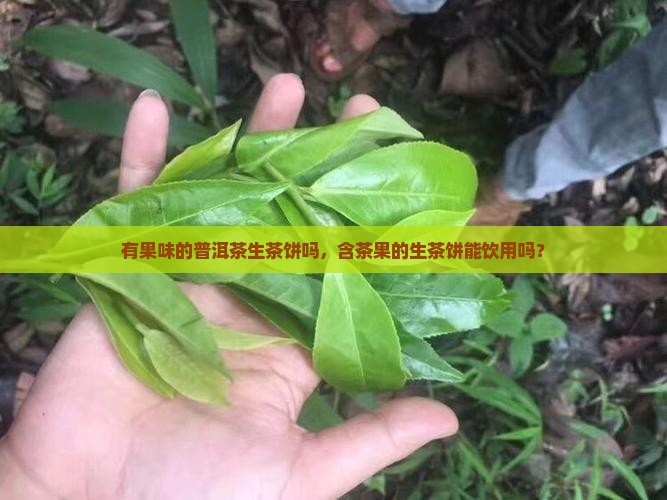 有果味的普洱茶生茶饼吗，含茶果的生茶饼能饮用吗？