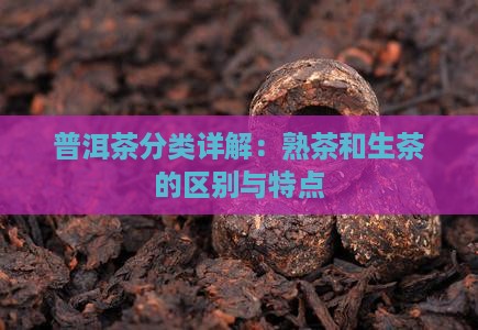 普洱茶分类详解：熟茶和生茶的区别与特点