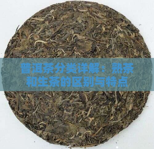 普洱茶分类详解：熟茶和生茶的区别与特点