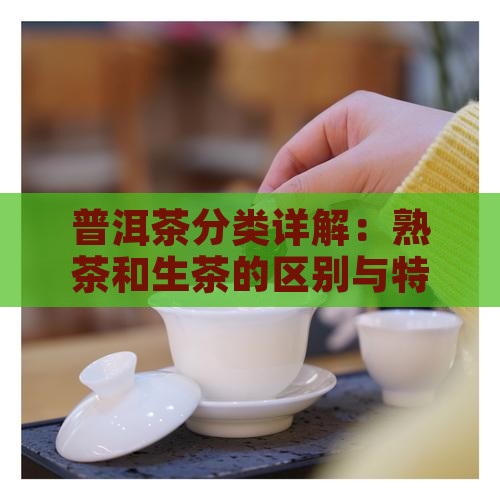 普洱茶分类详解：熟茶和生茶的区别与特点