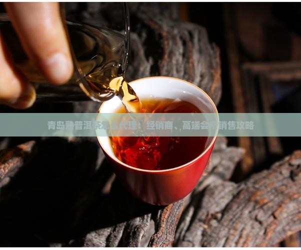 青岛熟普洱茶怎么代理：经销商、高端会所销售攻略