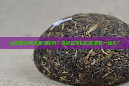 鱼腥草喝普洱茶同喝吗？鱼腥草可以和哪些茶一起煮？
