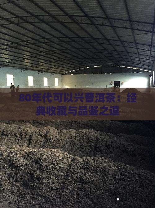 80年代可以兴普洱茶：经典收藏与品鉴之道