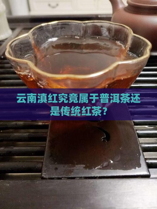 云南滇红究竟属于普洱茶还是传统红茶？