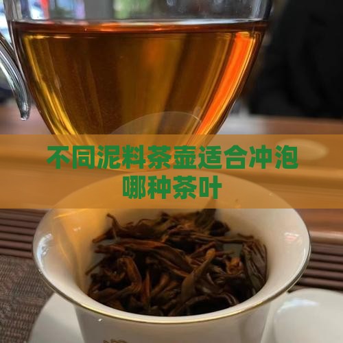 不同泥料茶壶适合冲泡哪种茶叶