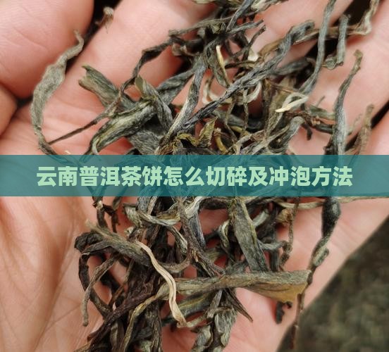 云南普洱茶饼怎么切碎及冲泡方法