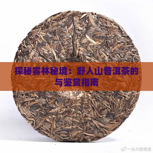 探秘雾林秘境：野人山普洱茶的与鉴赏指南