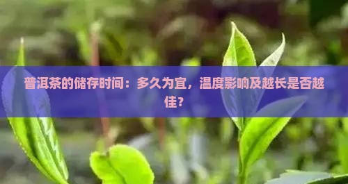 普洱茶的储存时间：多久为宜，温度影响及越长是否越佳？