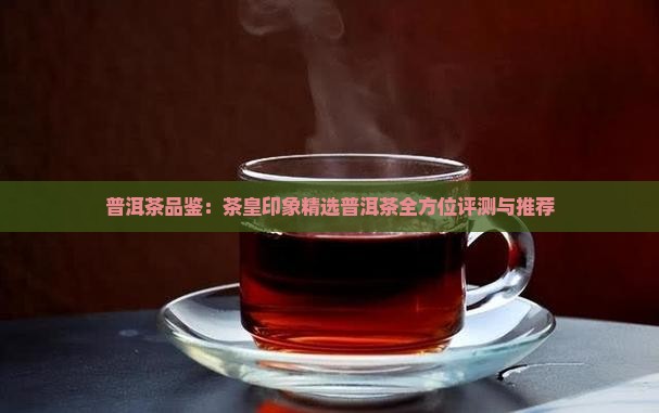 普洱茶品鉴：茶皇印象精选普洱茶全方位评测与推荐