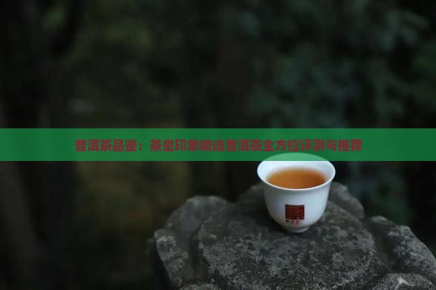 普洱茶品鉴：茶皇印象精选普洱茶全方位评测与推荐
