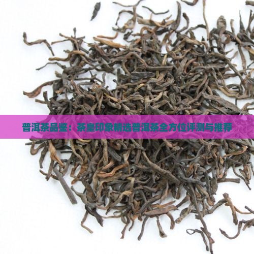 普洱茶品鉴：茶皇印象精选普洱茶全方位评测与推荐