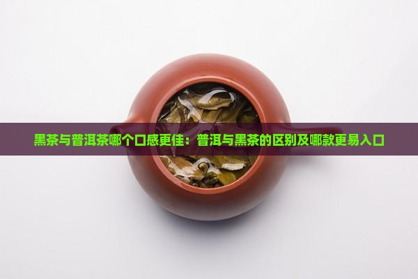 黑茶与普洱茶哪个口感更佳：普洱与黑茶的区别及哪款更易入口