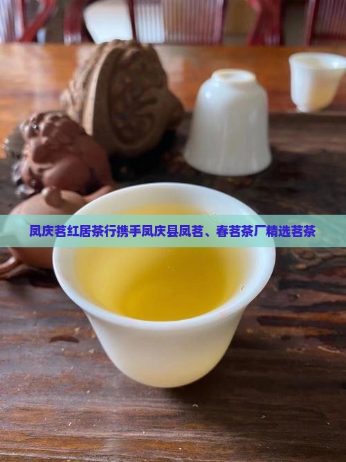 凤庆茗红居茶行携手凤庆县凤茗、春茗茶厂精选茗茶