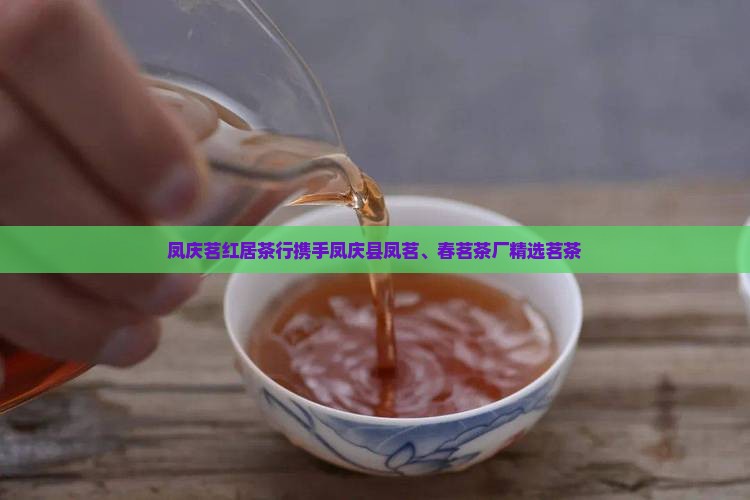 凤庆茗红居茶行携手凤庆县凤茗、春茗茶厂精选茗茶
