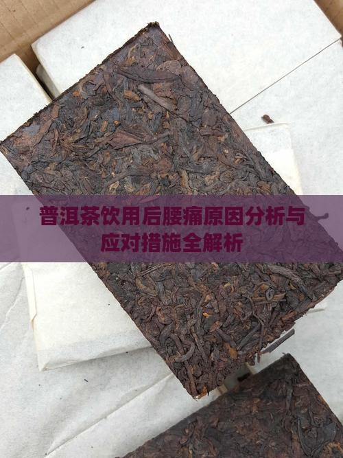 普洱茶饮用后腰痛原因分析与应对措施全解析