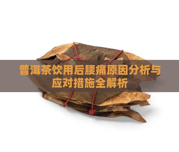普洱茶饮用后腰痛原因分析与应对措施全解析