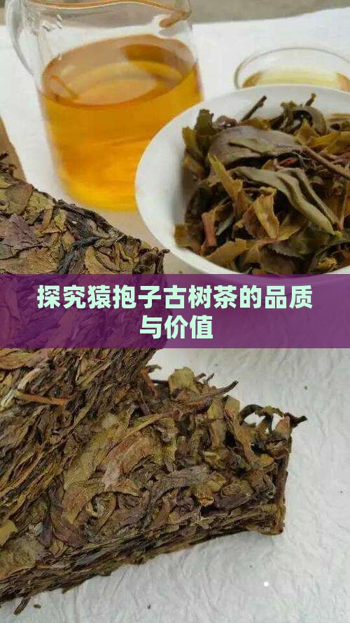 探究猿抱子古树茶的品质与价值