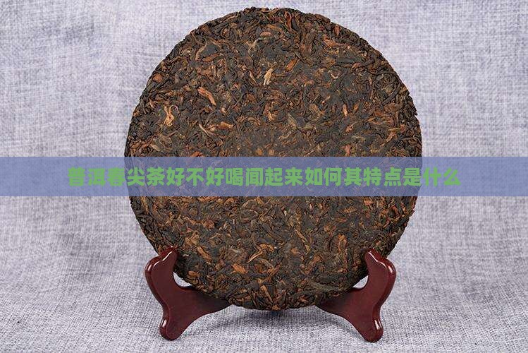 普洱春尖茶好不好喝闻起来如何其特点是什么