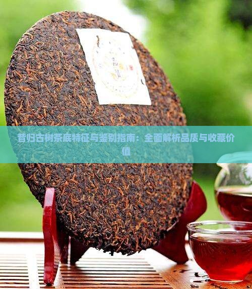 昔归古树茶底特征与鉴别指南：全面解析品质与收藏价值