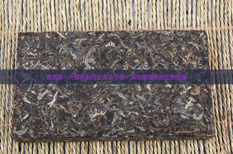 普洱茶一斤鲜叶制作出多少干茶:探究普洱茶叶比例奥秘 普洱茶一斤鲜叶制作出多少干茶:探究普洱茶叶比例奥秘