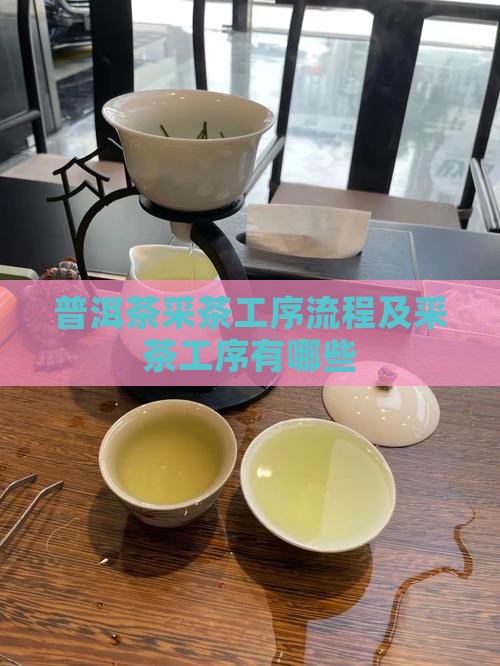 普洱茶采茶工序流程及采茶工序有哪些