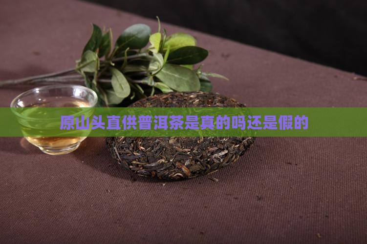原山头直供普洱茶是真的吗还是假的