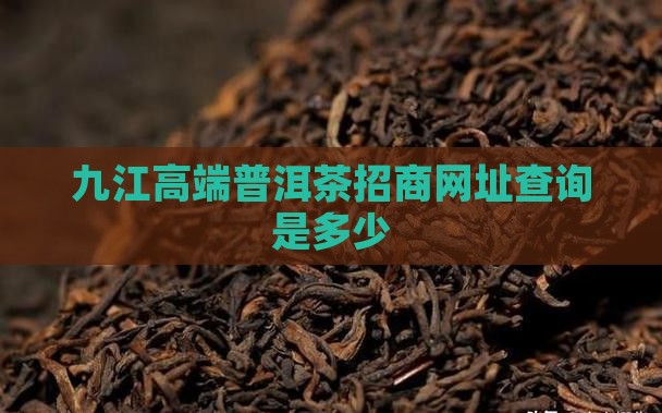 九江高端普洱茶招商网址查询是多少