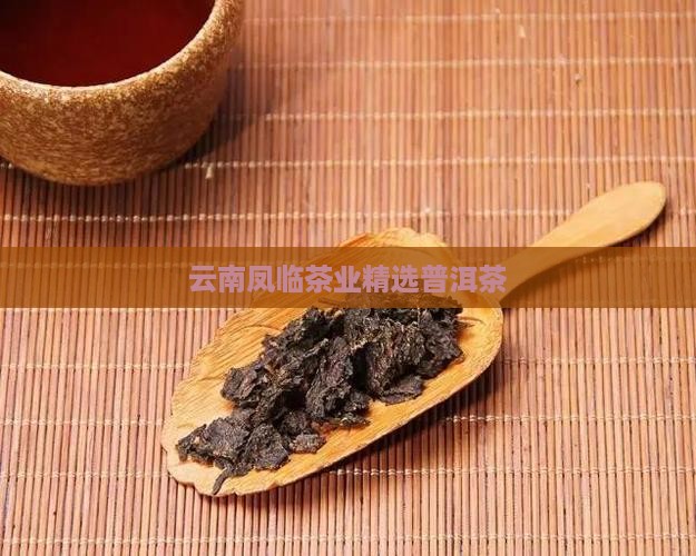 云南凤临茶业精选普洱茶