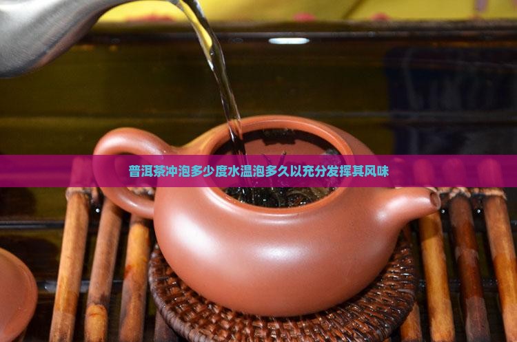 普洱茶冲泡多少度水温泡多久以充分发挥其风味