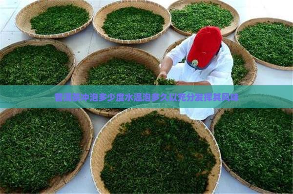 普洱茶冲泡多少度水温泡多久以充分发挥其风味