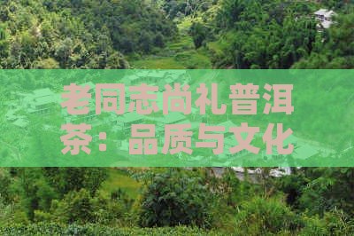 老同志尚礼普洱茶：品质与文化的完美结合