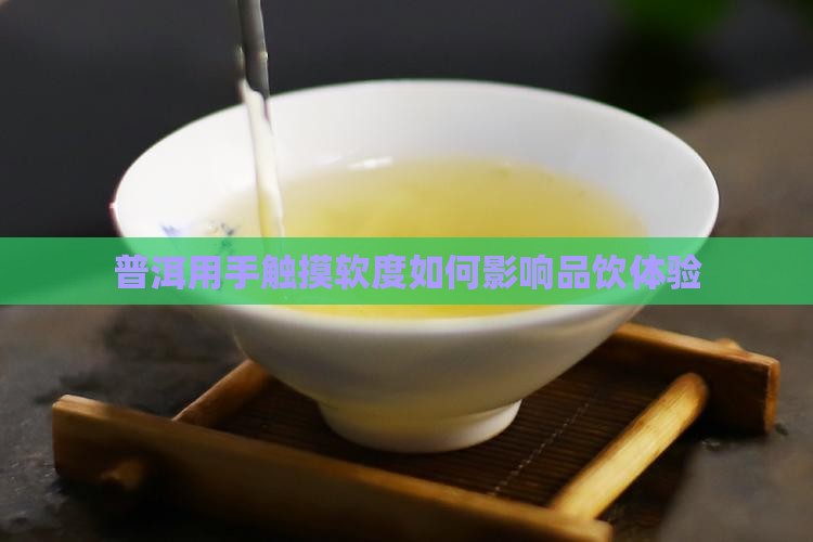 普洱用手触摸软度如何影响品饮体验