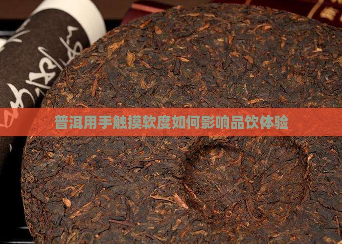 普洱用手触摸软度如何影响品饮体验