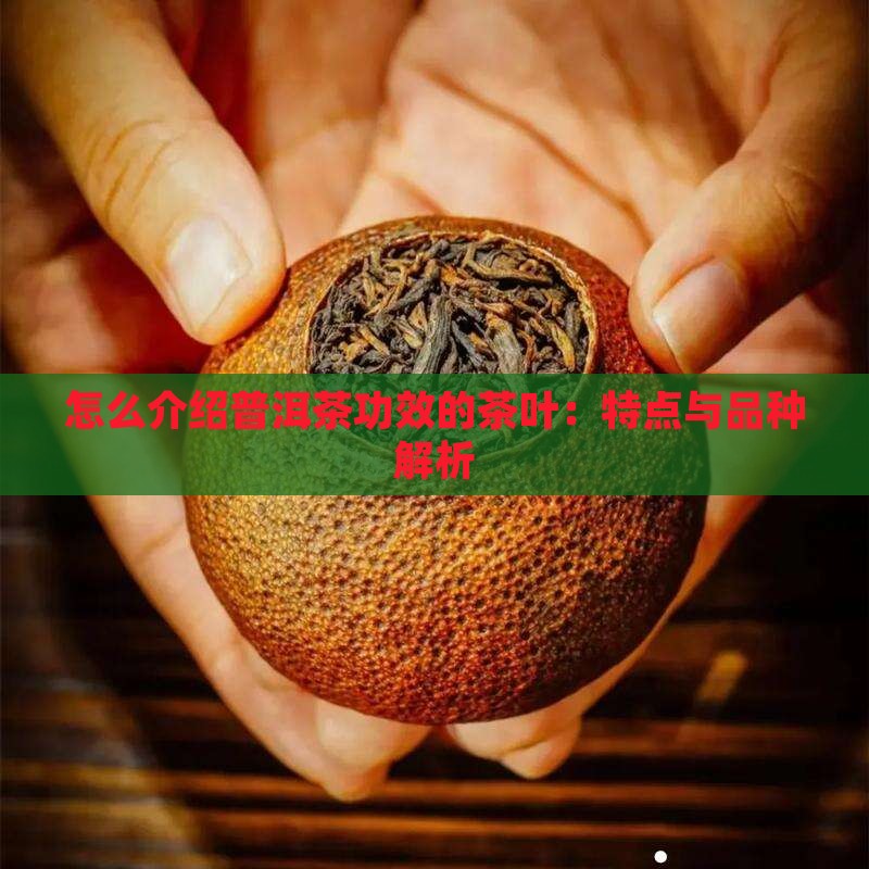 怎么介绍普洱茶功效的茶叶：特点与品种解析